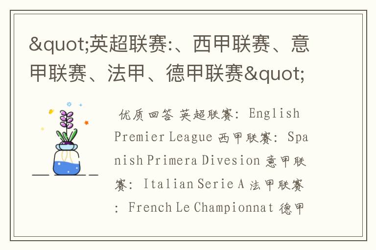 "英超联赛:、西甲联赛、意甲联赛、法甲、德甲联赛"的英文全称分别是什么？