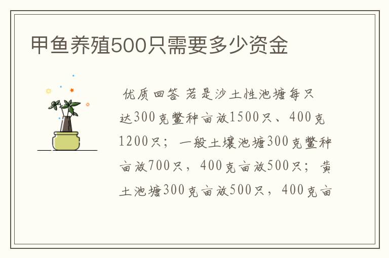 甲鱼养殖500只需要多少资金