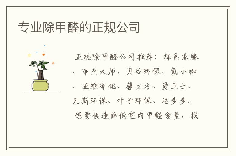 专业除甲醛的正规公司