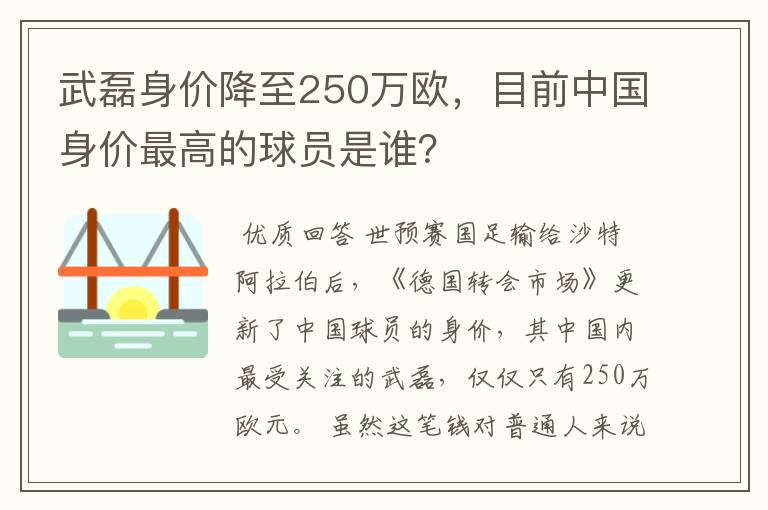 武磊身价降至250万欧，目前中国身价最高的球员是谁？