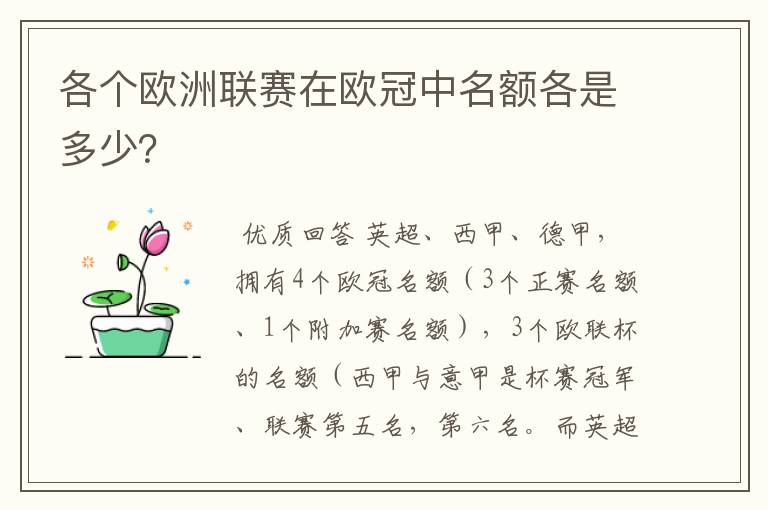 各个欧洲联赛在欧冠中名额各是多少？