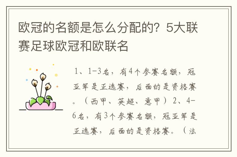 欧冠的名额是怎么分配的？5大联赛足球欧冠和欧联名