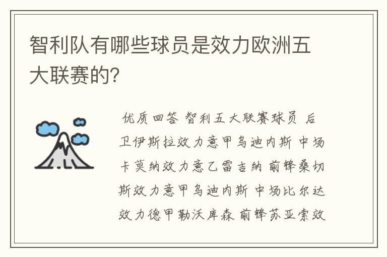 智利队有哪些球员是效力欧洲五大联赛的？