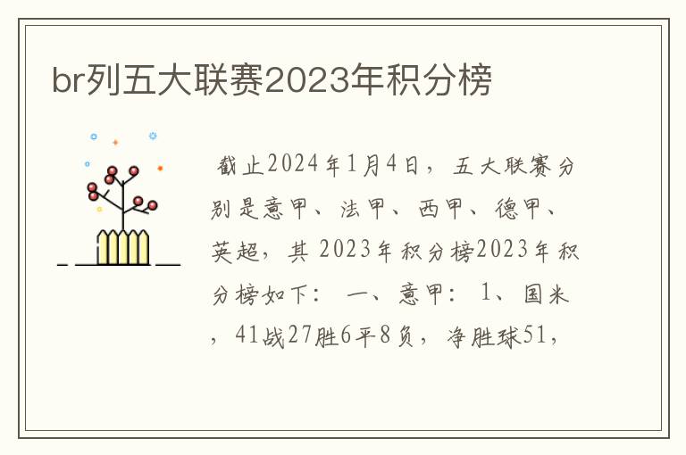 br列五大联赛2023年积分榜