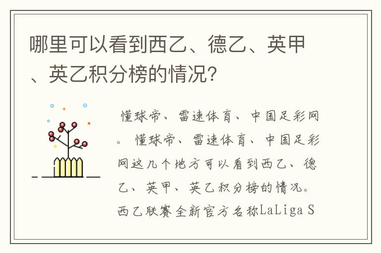 哪里可以看到西乙、德乙、英甲、英乙积分榜的情况？