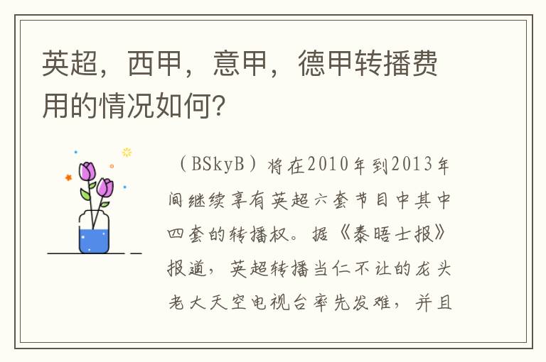 英超，西甲，意甲，德甲转播费用的情况如何？