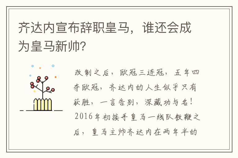 齐达内宣布辞职皇马，谁还会成为皇马新帅？