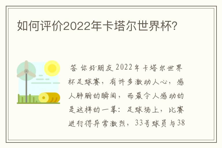 如何评价2022年卡塔尔世界杯？