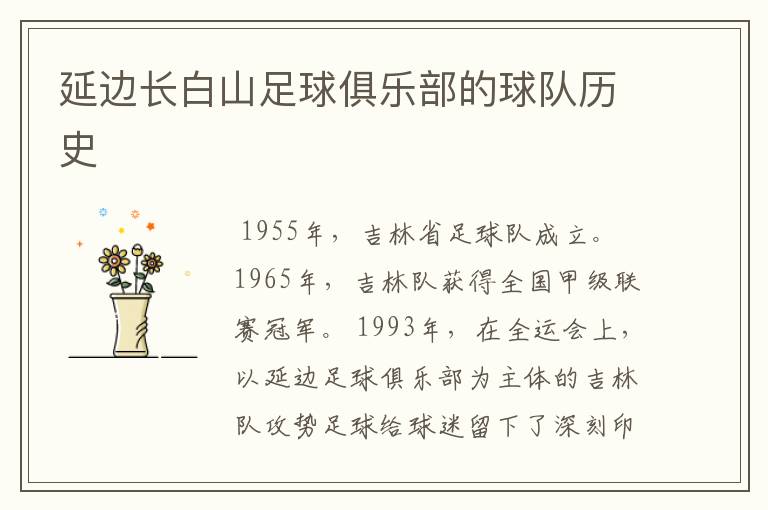 延边长白山足球俱乐部的球队历史