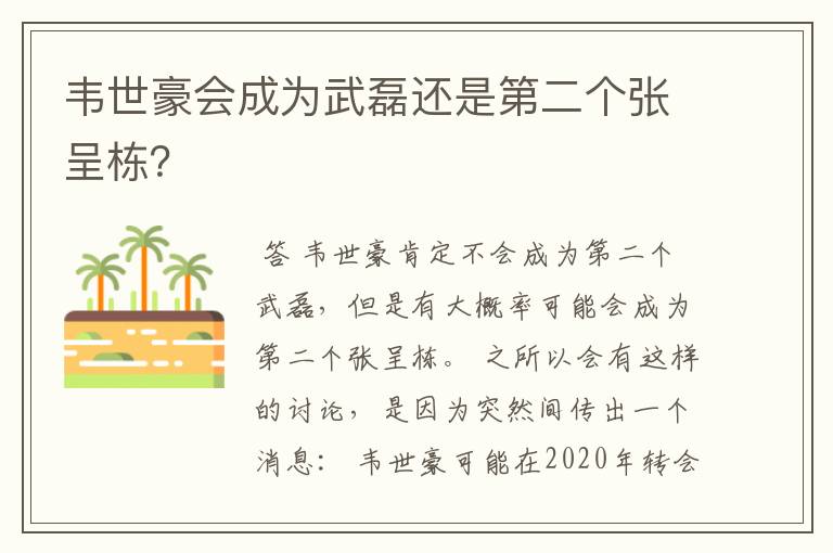 韦世豪会成为武磊还是第二个张呈栋？