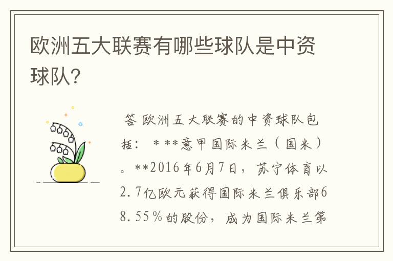 欧洲五大联赛有哪些球队是中资球队？