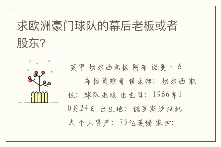 求欧洲豪门球队的幕后老板或者股东？