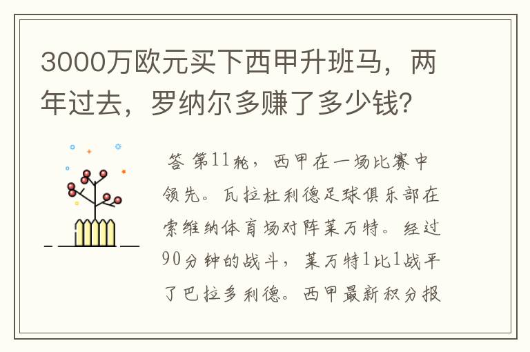 3000万欧元买下西甲升班马，两年过去，罗纳尔多赚了多少钱？