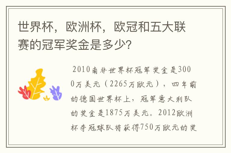 世界杯，欧洲杯，欧冠和五大联赛的冠军奖金是多少？