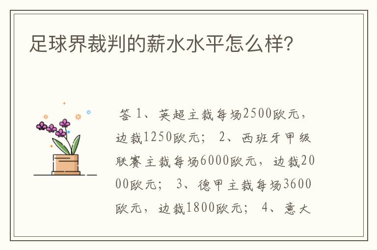 足球界裁判的薪水水平怎么样？