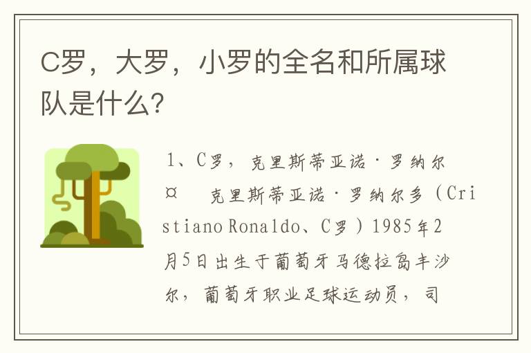 C罗，大罗，小罗的全名和所属球队是什么？