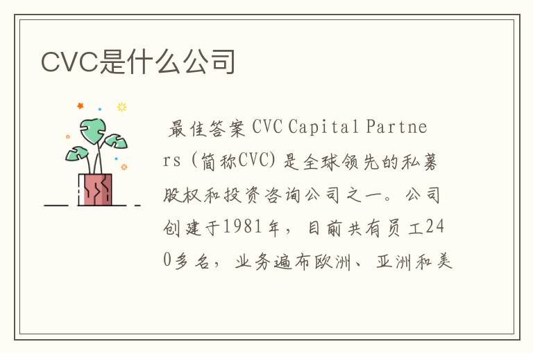 CVC是什么公司