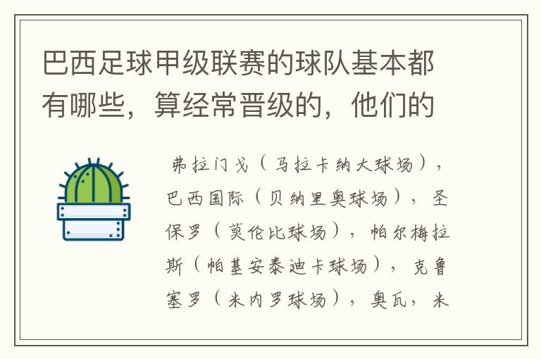 巴西足球甲级联赛的球队基本都有哪些，算经常晋级的，他们的球场都叫什么名