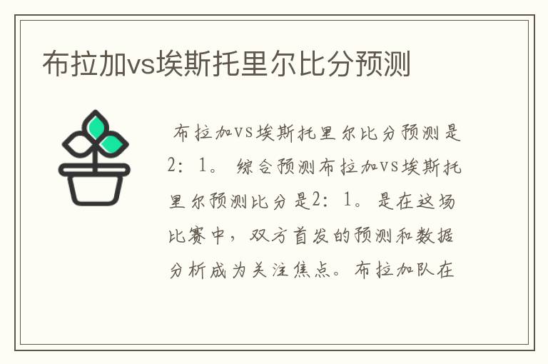 布拉加vs埃斯托里尔比分预测