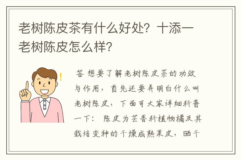 老树陈皮茶有什么好处？十添一老树陈皮怎么样？