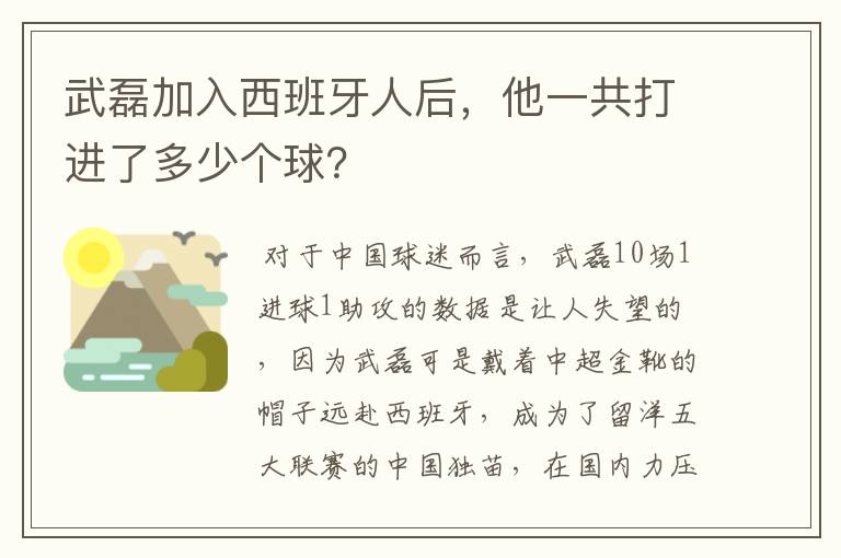 武磊加入西班牙人后,他一共打进了多少个球?