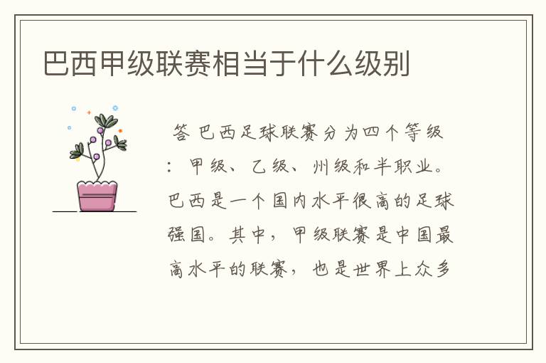 巴西甲级联赛相当于什么级别