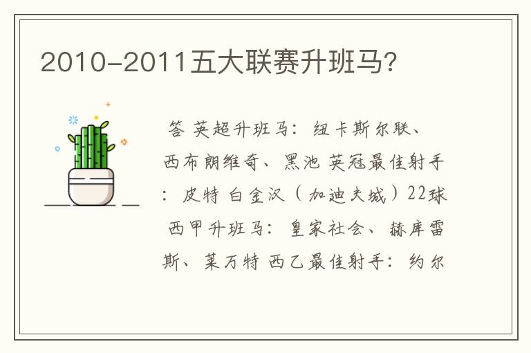 2010-2011五大联赛升班马?