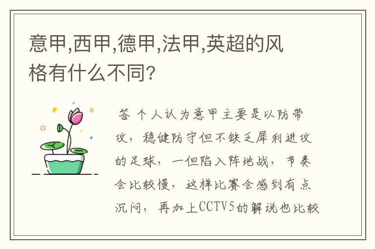 意甲,西甲,德甲,法甲,英超的风格有什么不同?