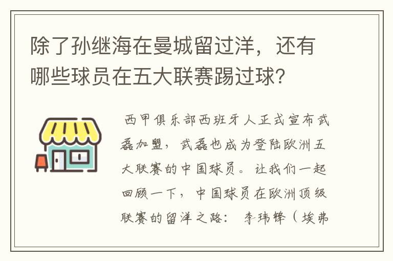 除了孙继海在曼城留过洋，还有哪些球员在五大联赛踢过球？