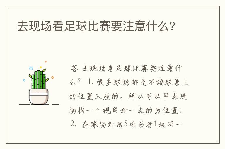 去现场看足球比赛要注意什么？