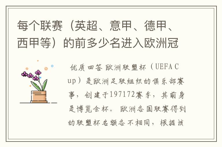 每个联赛（英超、意甲、德甲、西甲等）的前多少名进入欧洲冠军杯？多少名进入欧洲联盟杯？