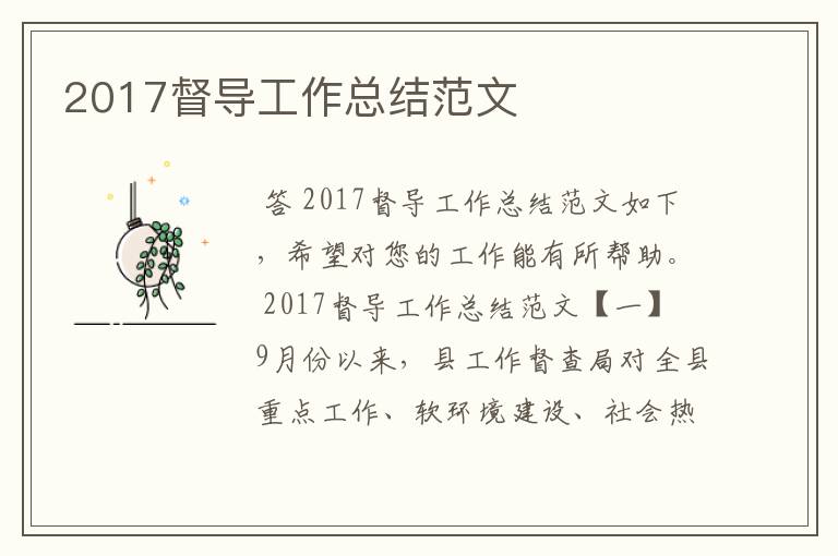 2017督导工作总结范文