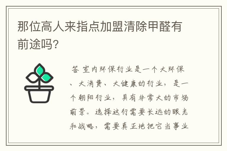 那位高人来指点加盟清除甲醛有前途吗?