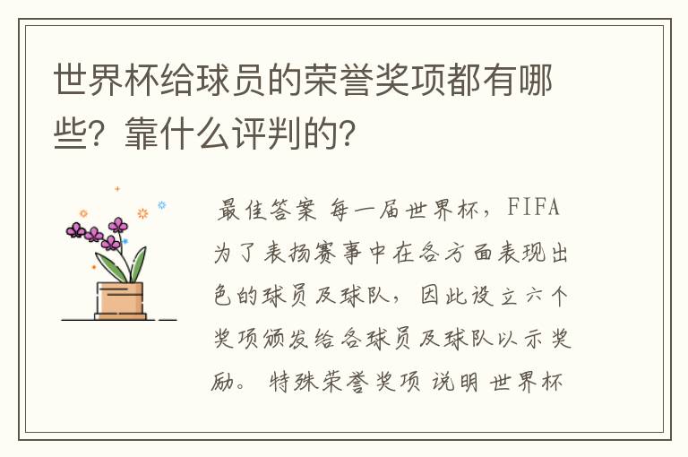 世界杯给球员的荣誉奖项都有哪些？靠什么评判的？