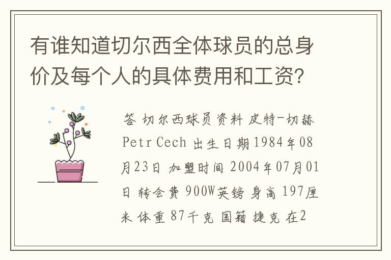 有谁知道切尔西全体球员的总身价及每个人的具体费用和工资？