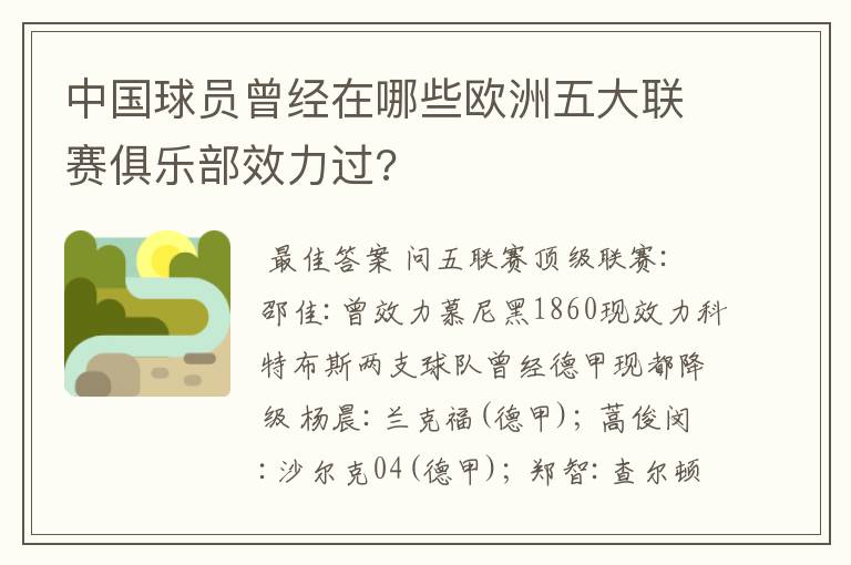 中国球员曾经在哪些欧洲五大联赛俱乐部效力过?