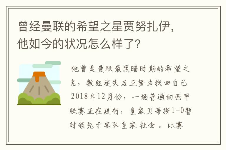 曾经曼联的希望之星贾努扎伊，他如今的状况怎么样了？