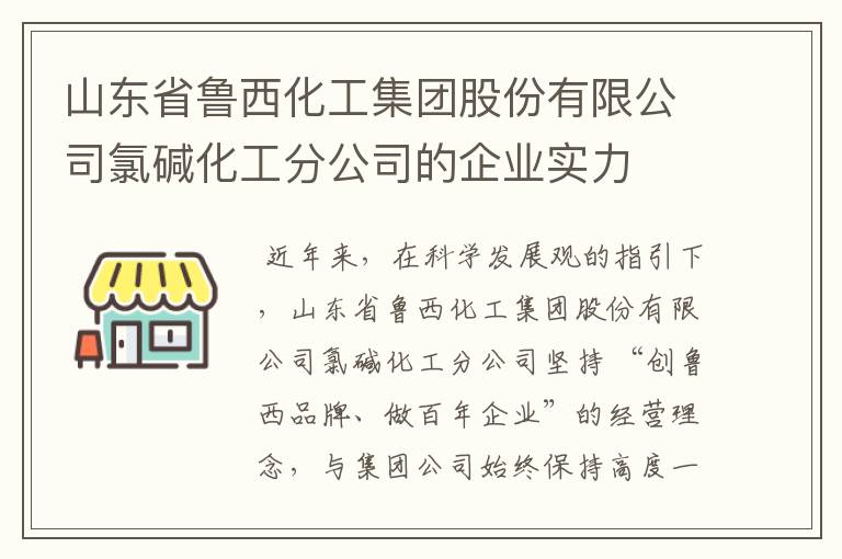 山东省鲁西化工集团股份有限公司氯碱化工分公司的企业实力