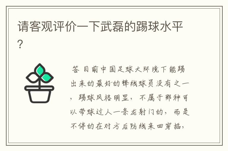 请客观评价一下武磊的踢球水平？