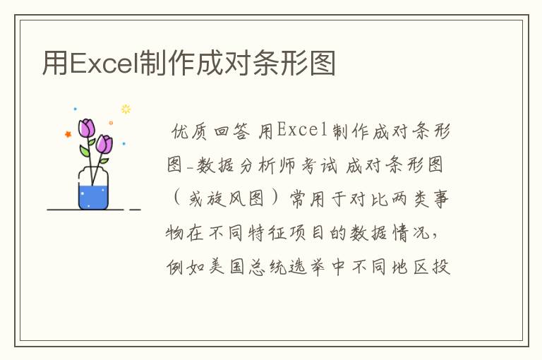 用Excel制作成对条形图