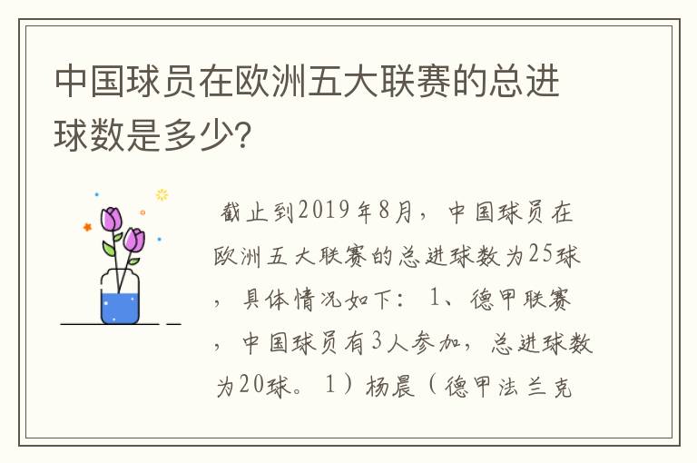 中国球员在欧洲五大联赛的总进球数是多少？