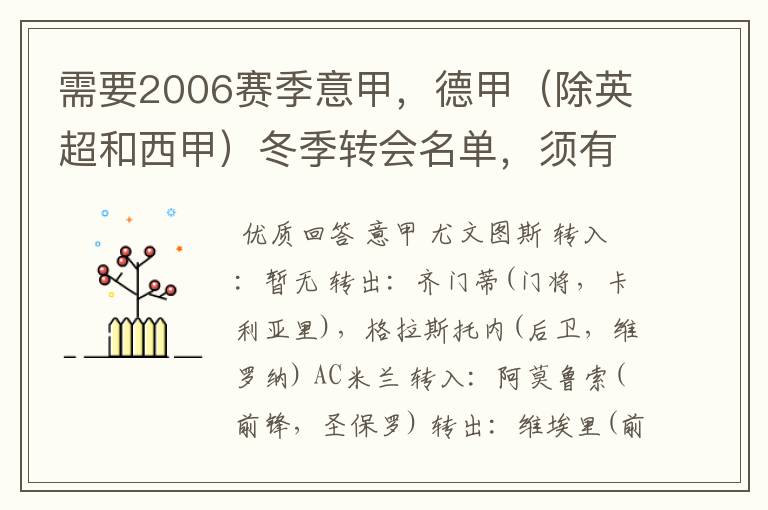 需要2006赛季意甲，德甲（除英超和西甲）冬季转会名单，须有转会方式