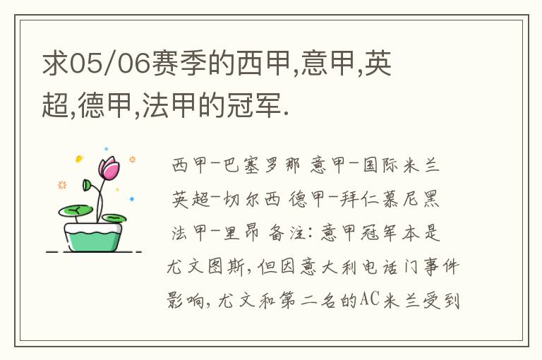 求05/06赛季的西甲,意甲,英超,德甲,法甲的冠军.