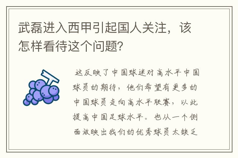 武磊进入西甲引起国人关注，该怎样看待这个问题？