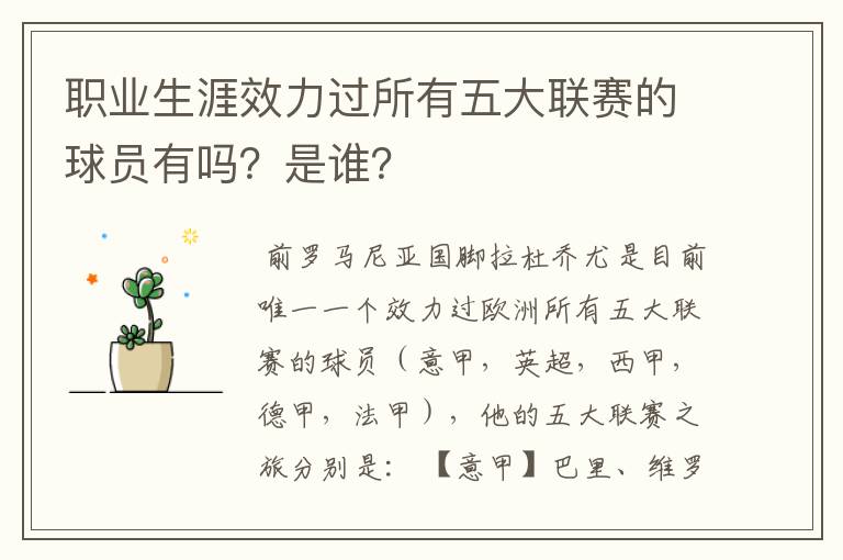 职业生涯效力过所有五大联赛的球员有吗？是谁？