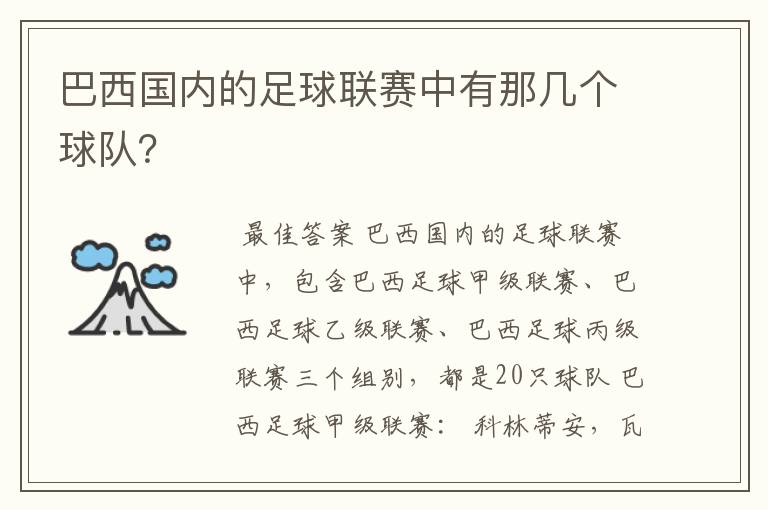 巴西国内的足球联赛中有那几个球队？