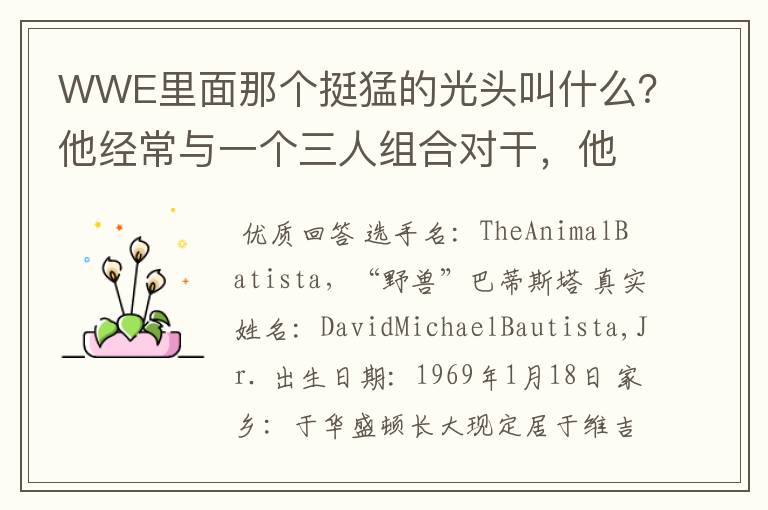 WWE里面那个挺猛的光头叫什么？他经常与一个三人组合对干，他的老师是一个老头，也挺厉害的。