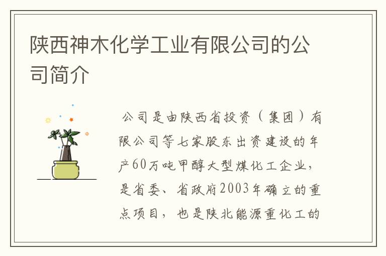 陕西神木化学工业有限公司的公司简介