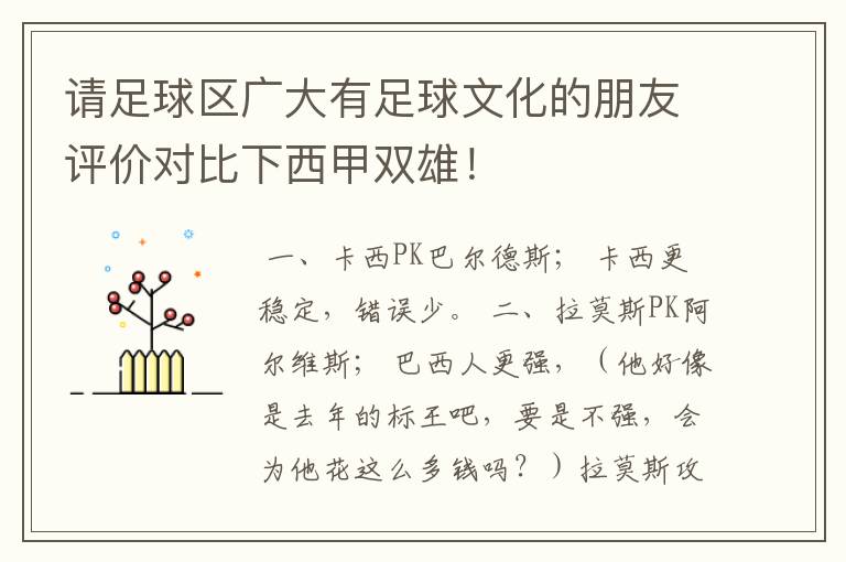 请足球区广大有足球文化的朋友评价对比下西甲双雄！