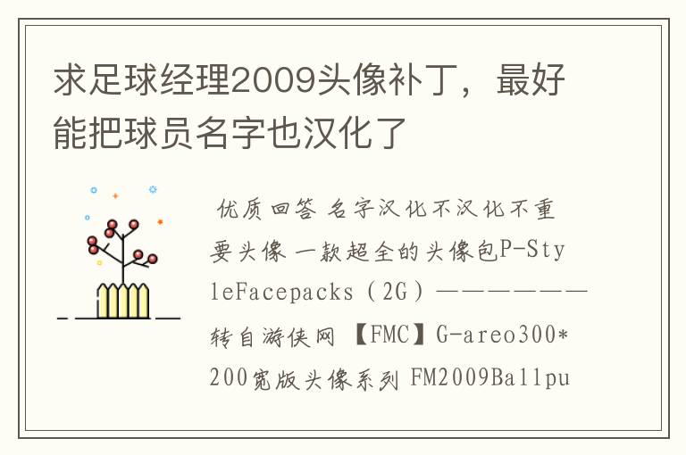 求足球经理2009头像补丁，最好能把球员名字也汉化了